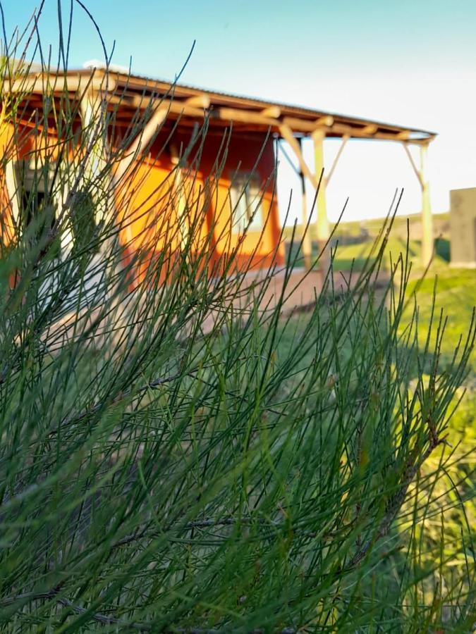 La Narcisa Villa Pehuajó Eksteriør billede