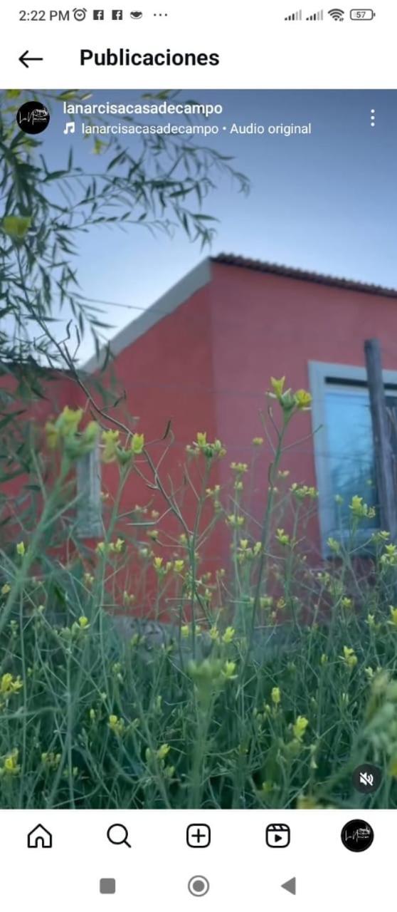 La Narcisa Villa Pehuajó Eksteriør billede